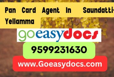 Pan Card Agent Consultant in Saundatti-Yellamma  8851415812