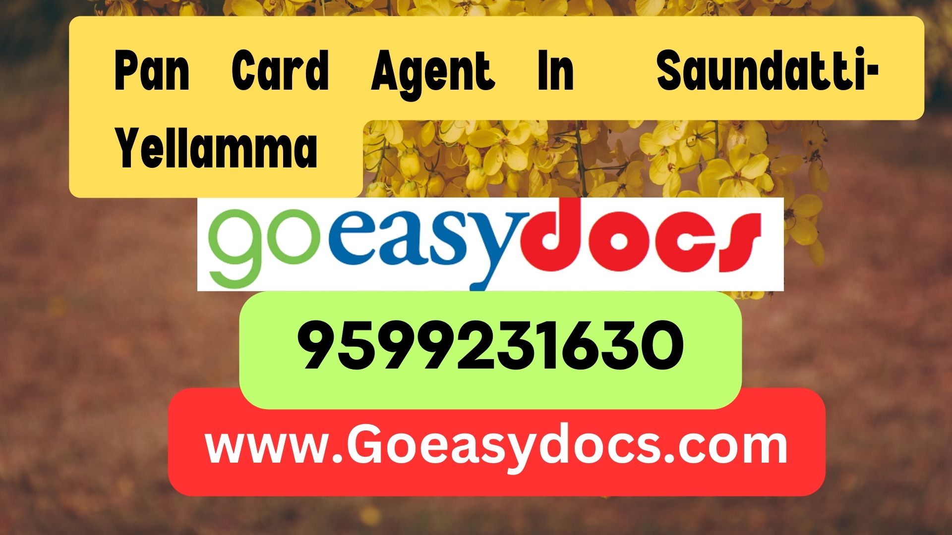 Pan Card Agent Consultant in Saundatti-Yellamma  8851415812