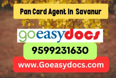 Pan Card Agent Consultant in Savanur 8851415812