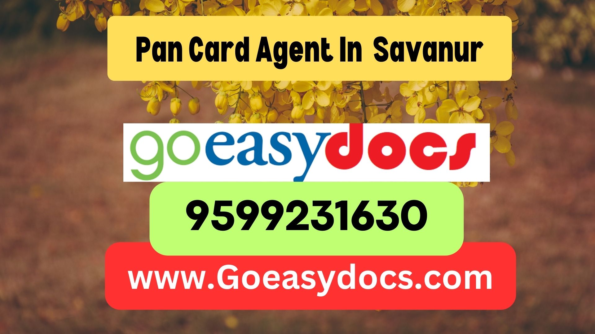 Pan Card Agent Consultant in Savanur 8851415812