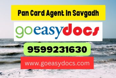 Pan Card Agent Consultant in Savgadh 8851415812