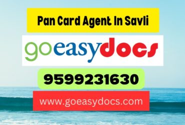 Pan Card Agent Consultant in Savli 8851415812