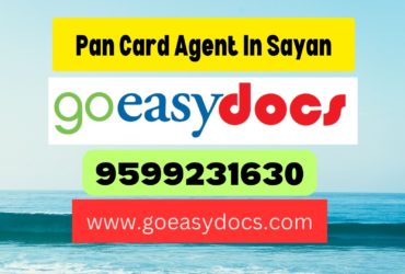 Pan Card Agent Consultant in Sayan 8851415812