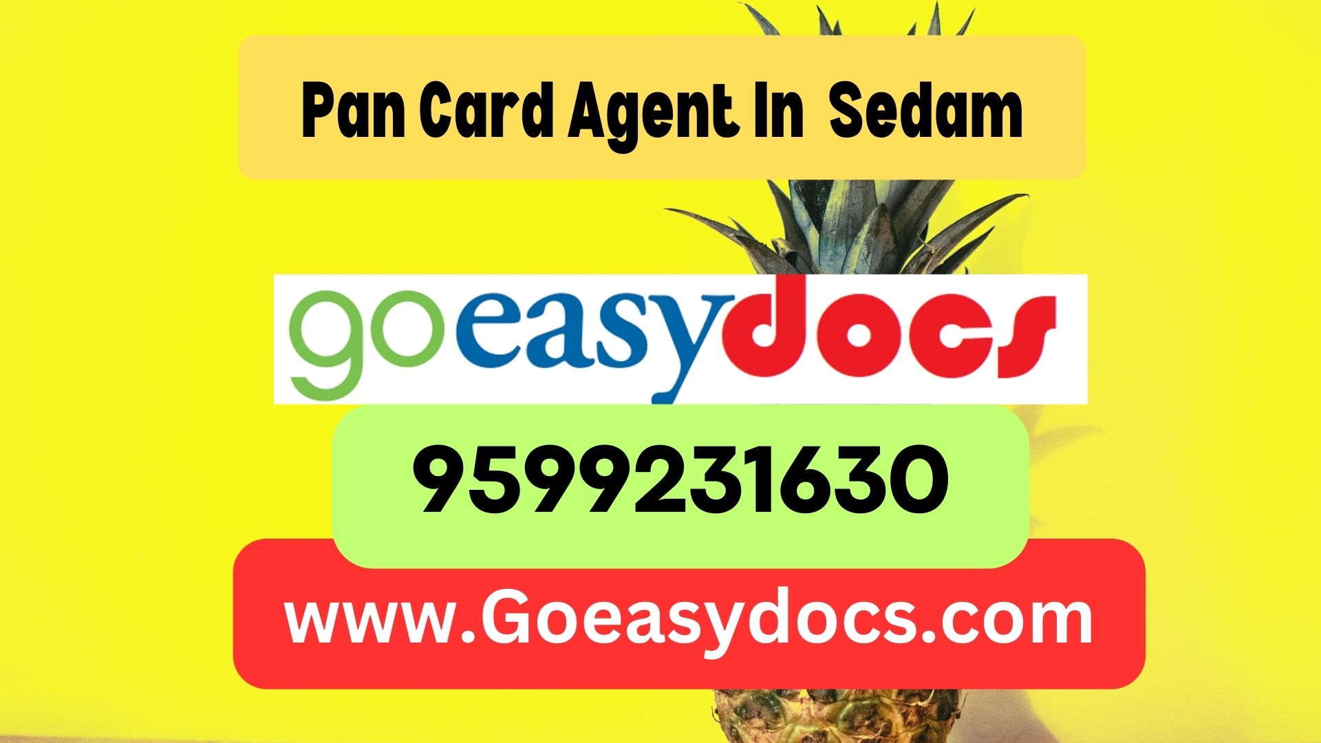 Pan Card Agent Consultant in Sedam 8851415812