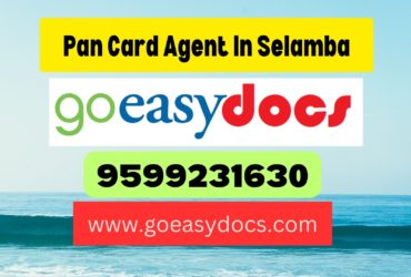 Pan Card Agent Consultant in Selamba 8851415812