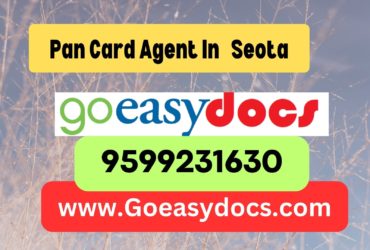 Pan Card Agent Consultant in Seota 8851415812