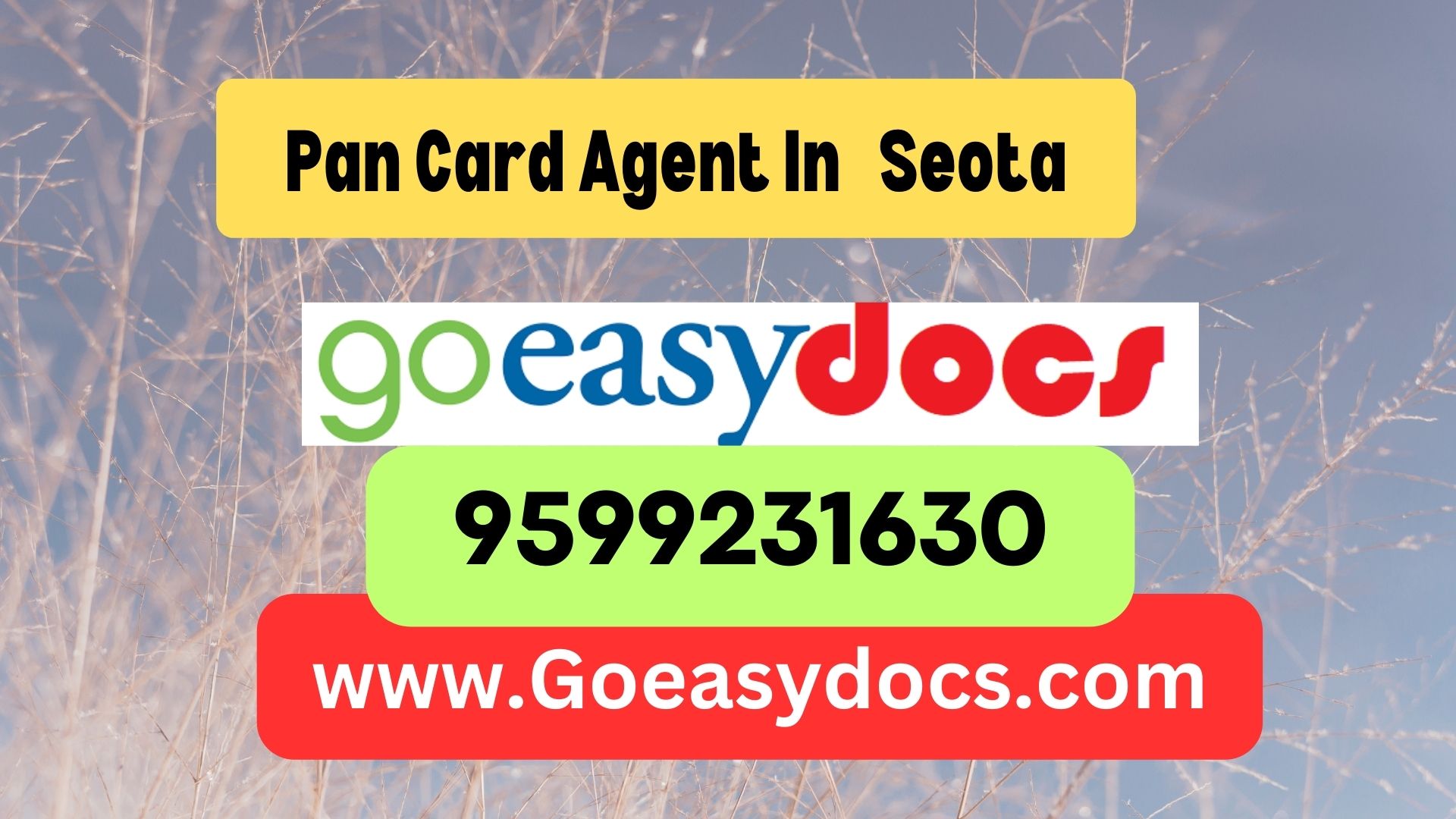 Pan Card Agent Consultant in Seota 8851415812