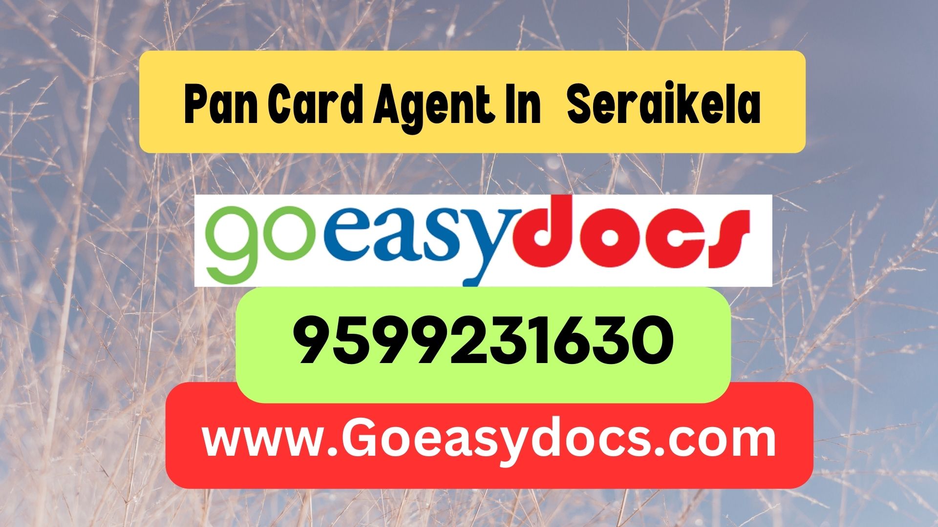 Pan Card Agent Consultant in Seraikela  8851415812