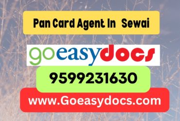 Pan Card Agent Consultant in Sewai 8851415812