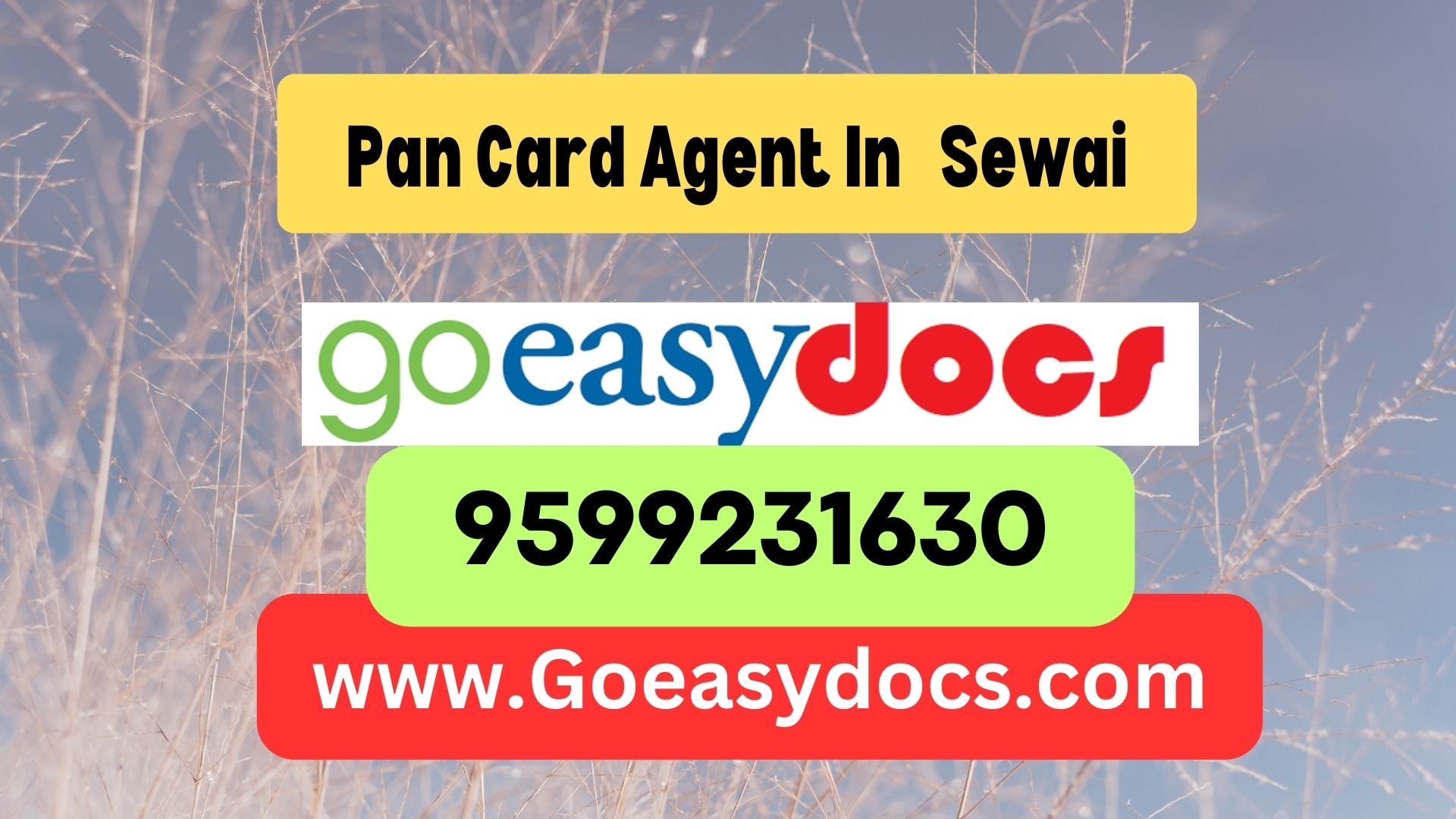 Pan Card Agent Consultant in Sewai 8851415812