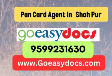 Pan Card Agent Consultant in Shah Pur 8851415812