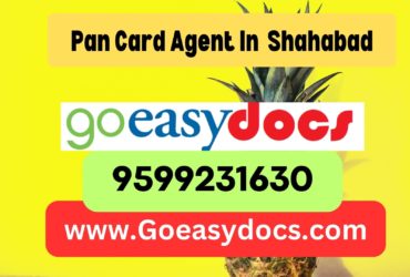 Pan Card Agent Consultant in Shahabad 8851415812