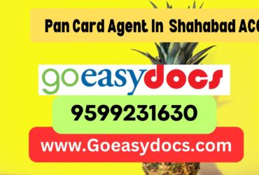 Pan Card Agent Consultant in Shahabad ACC 8851415812