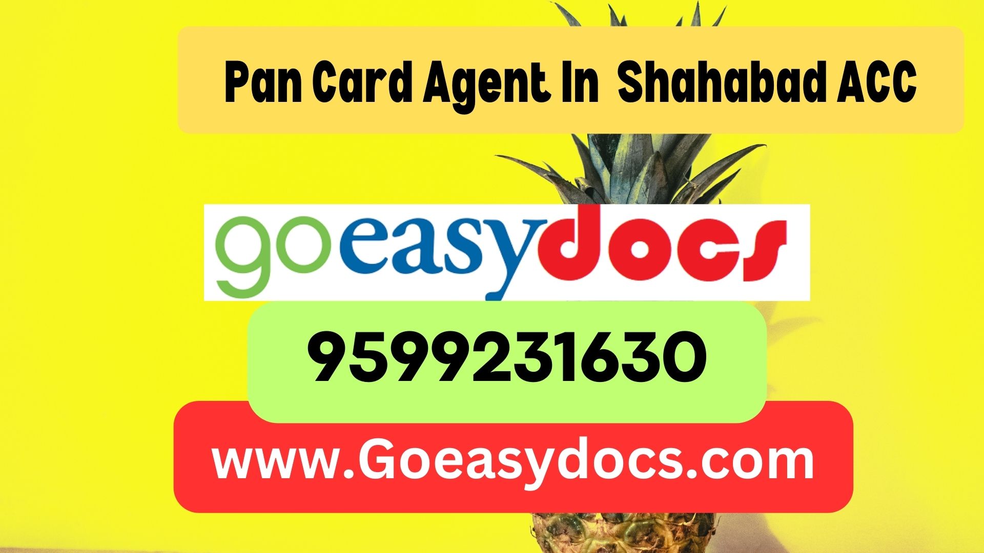 Pan Card Agent Consultant in Shahabad ACC 8851415812