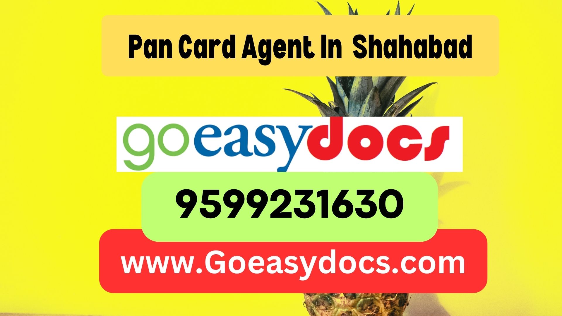 Pan Card Agent Consultant in Shahabad 8851415812