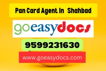 h1>Pan Card Agent Consultant in Shahbad  8851415812