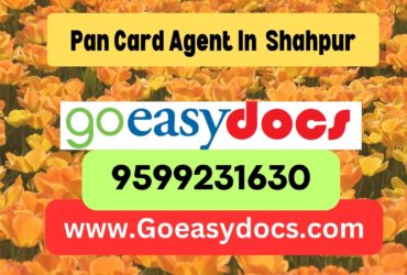 Pan Card Agent Consultant in Shahpur 8851415812