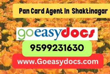 Pan Card Agent Consultant in Shaktinagar 8851415812