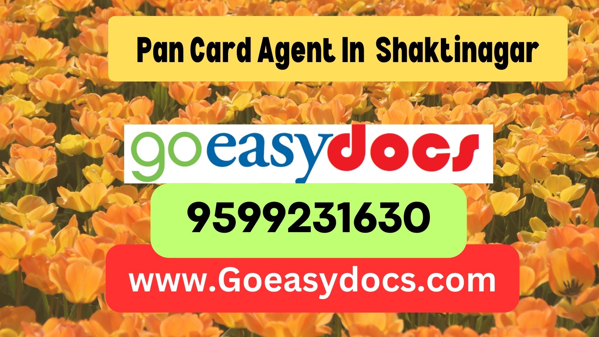 Pan Card Agent Consultant in Shaktinagar 8851415812