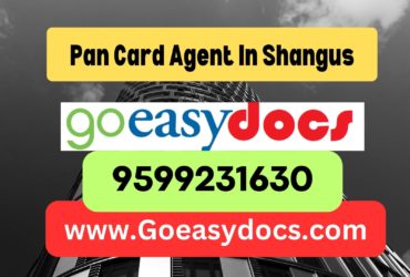 Pan Card Agent Consultant in Shangus 8851415812