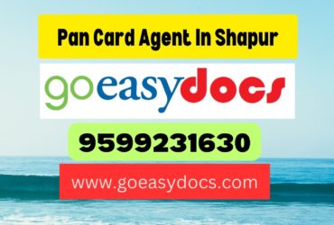 Pan Card Agent Consultant in Shapur 8851415812