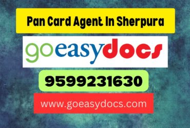 Pan Card Agent Consultant in Sherpura 8851415812