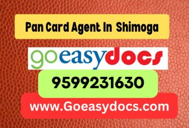 Pan Card Agent Consultant in Shimoga 8851415812