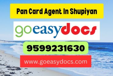 Pan Card Agent Consultant in Shupiyan  8851415812