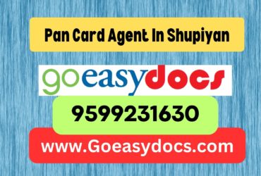 Pan Card Agent Consultant in Shupiyan 8851415812