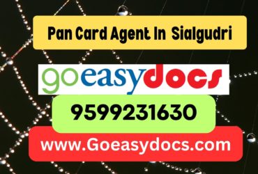 Pan Card Agent Consultant in Sialgudri 8851415812