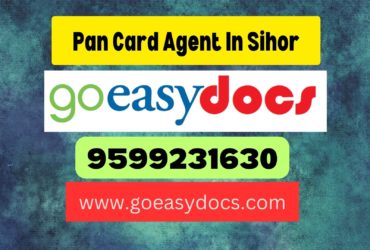 Pan Card Agent Consultant in Sihor 8851415812