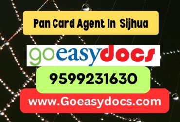 Pan Card Agent Consultant in Sijhua 8851415812