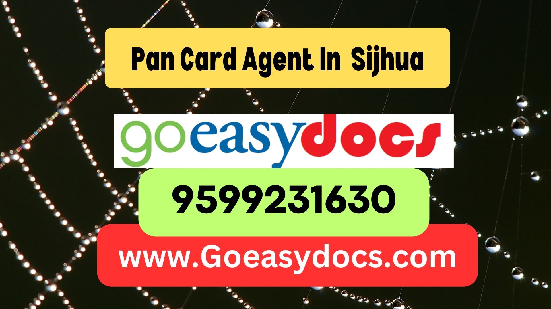 Pan Card Agent Consultant in Sijhua 8851415812