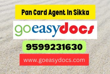 Pan Card Agent Consultant in Sikka 8851415812