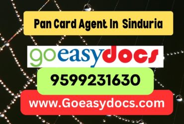 Pan Card Agent Consultant in Sinduria 8851415812