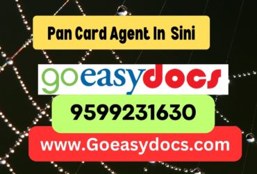 h1>Pan Card Agent Consultant in Sini 8851415812