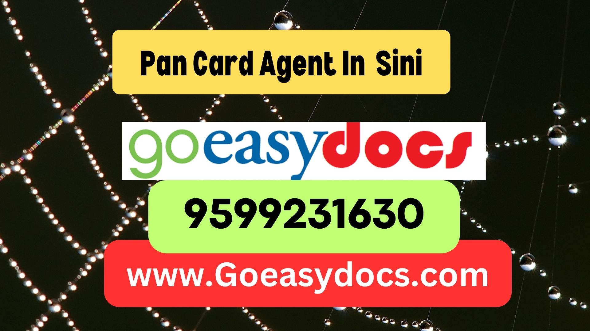 h1>Pan Card Agent Consultant in Sini 8851415812