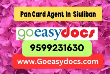 Pan Card Agent Consultant in Siuliban 8851415812