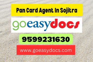 Pan Card Agent Consultant in Sojitra 8851415812