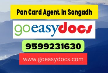 Pan Card Agent Consultant in Songadh 8851415812