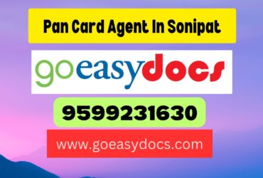 Pan Card Agent Consultant in Sonipat 8851415812