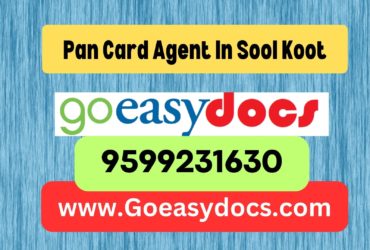 Pan Card Agent Consultant in Sool Koot 8851415812