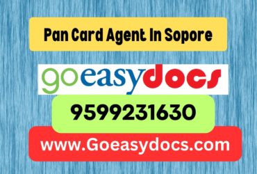 Pan Card Agent Consultant in Sopore 8851415812