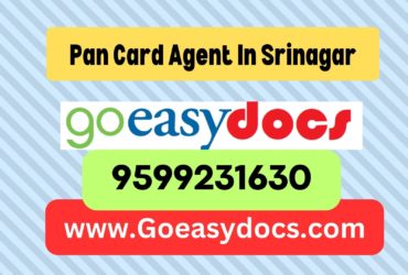 Pan Card Agent Consultant in Srinagar 8851415812