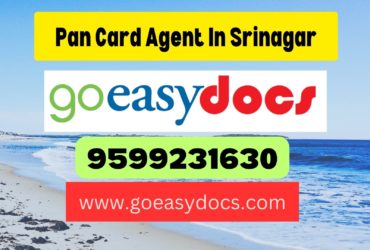 Pan Card Agent Consultant in Srinagar 8851415812