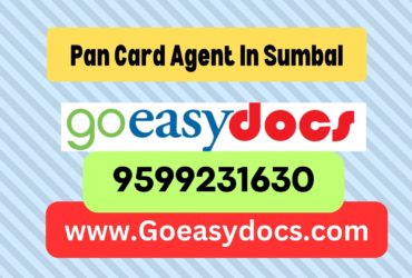 Pan Card Agent Consultant in Sumbal 8851415812