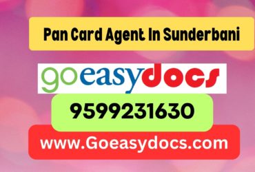 Pan Card Agent Consultant in Sunderbani 8851415812