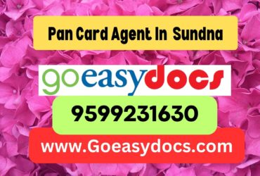 Pan Card Agent Consultant in Sundna 8851415812