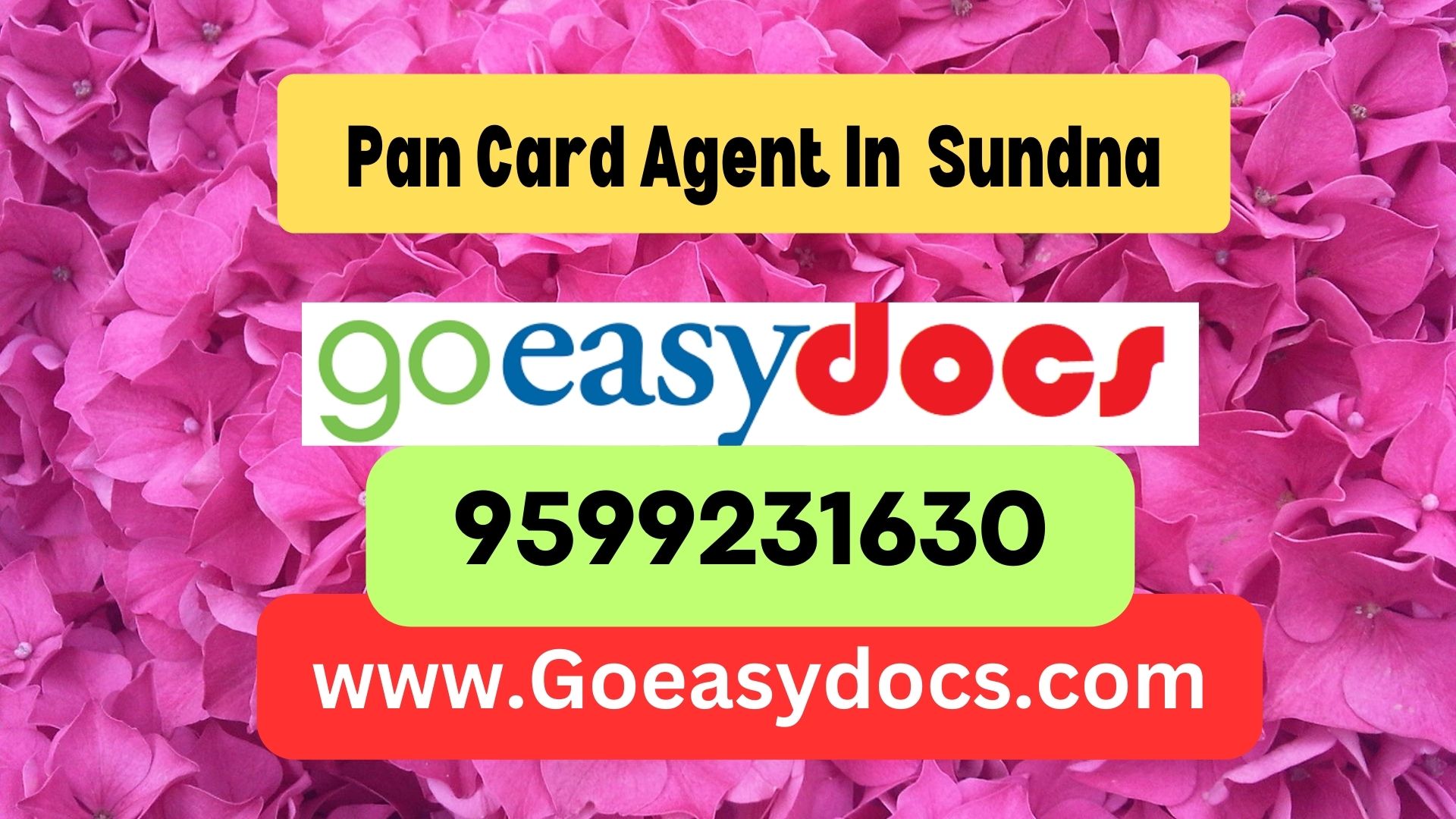 Pan Card Agent Consultant in Sundna 8851415812