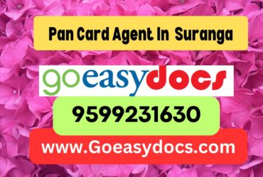 Pan Card Agent Consultant in Suranga 8851415812